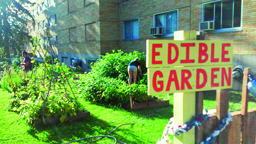 The Edible Garden is located between McGregor and Royce Hall and is mostly student run.