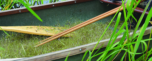 The Ojibwe collect the wild rice by using canoes.