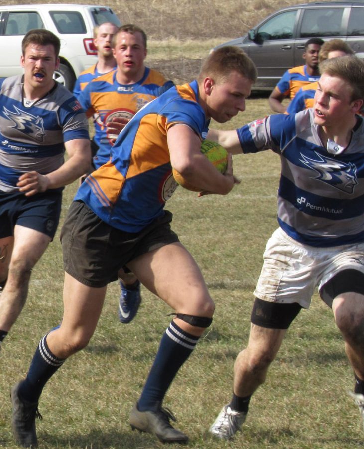 Badger Kings Rugby photo