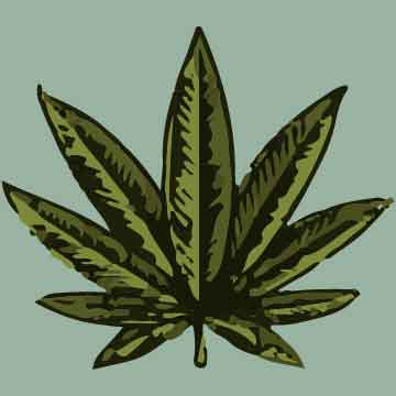 Marijuana Legalization in Wisconsin
