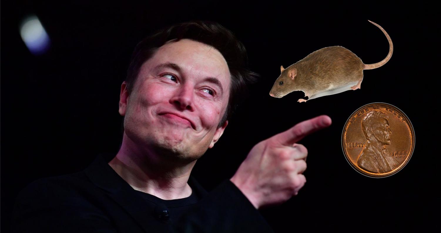 Elon Musk Unveils His Own Cryptocurrency – Exponent