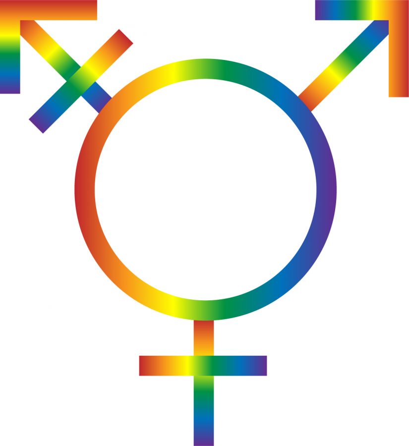 Transgender Day of Visibility 2021
