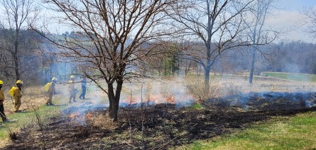 Prescribed Burns: UW-Platteville History