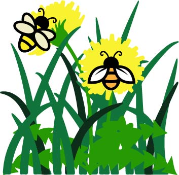 Bees on dandelions (liz)