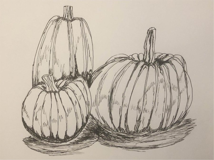 “Medium: Pen and paper
Year: 2022
Three of my pumpkins from this year’s harvest”