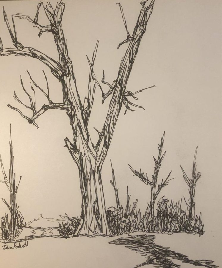
“This tree was sketched while sitting in Memorial Park, chatting with a dear friend of mine.”