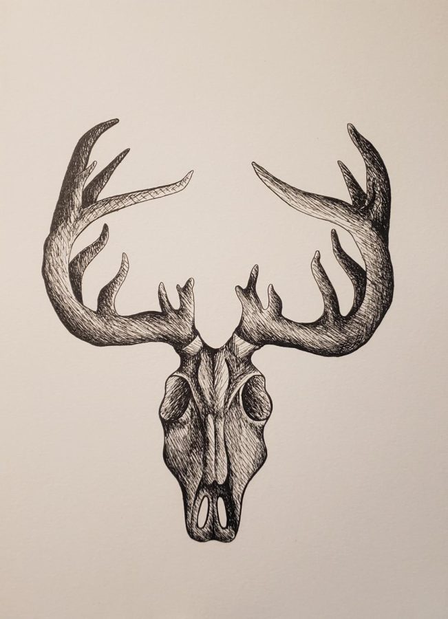“Medium: Pen and ink
Year: 2021
The deer skull and antlers were sketched and shaded using cross hatching.”