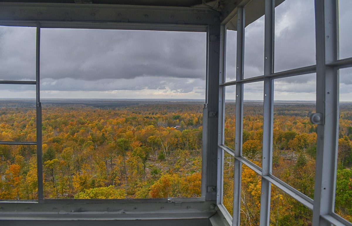 View from Mountain, WI firetower