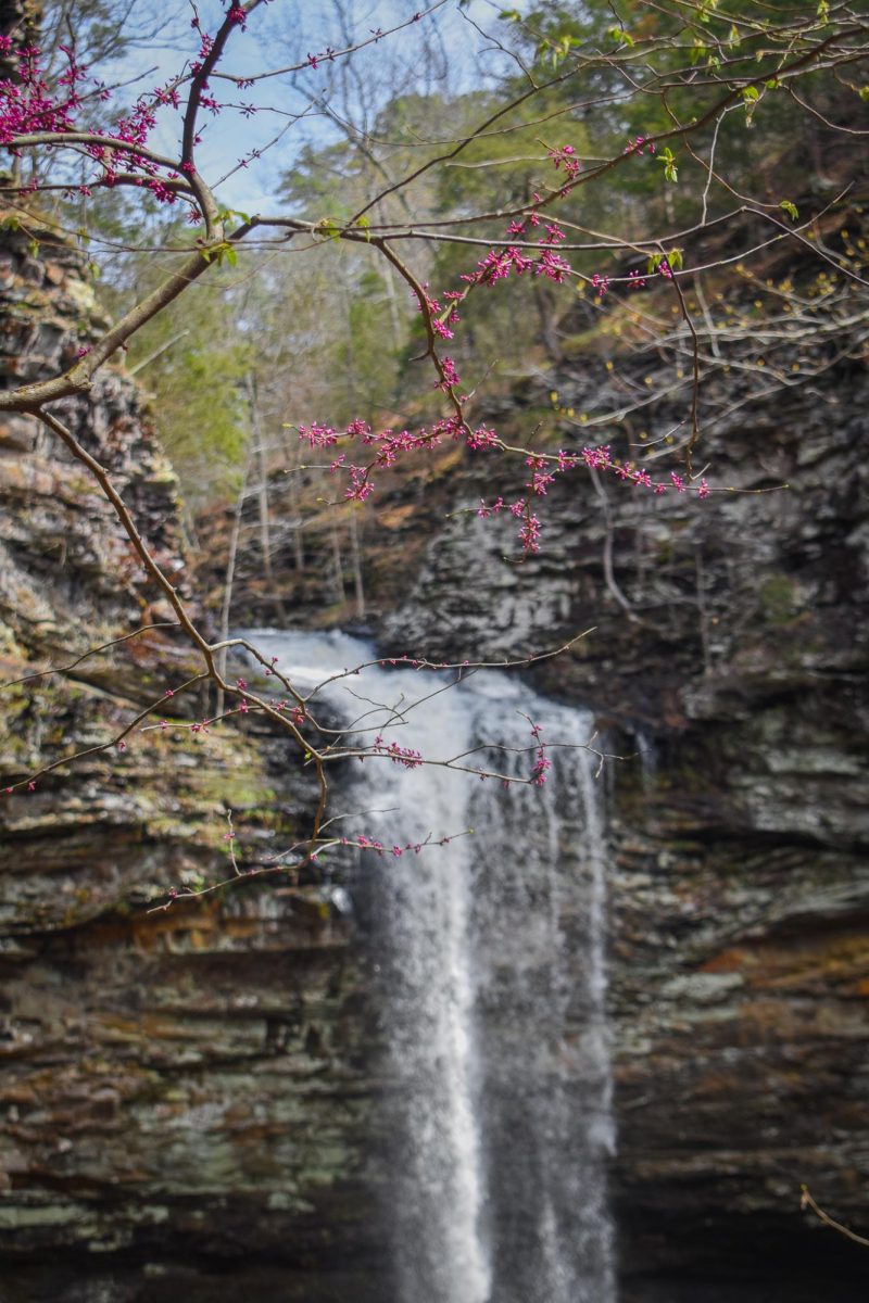 Waterfall in Petit Jean State Park, AR