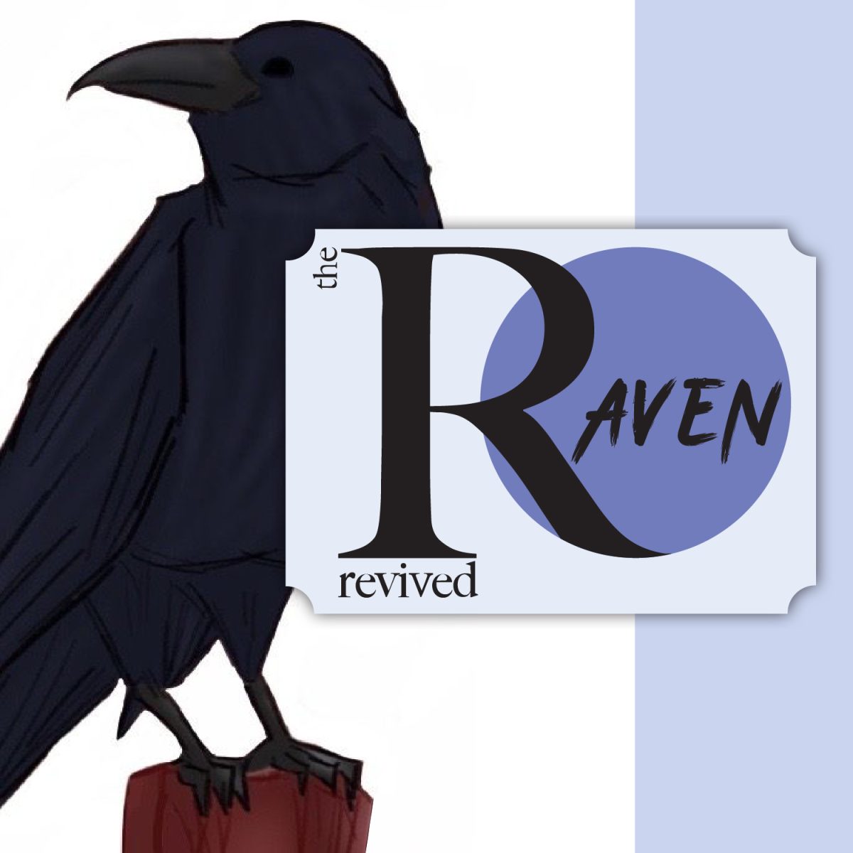 RAVEN WEBSITE (pieces with no images)