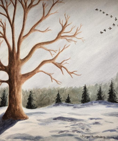 Medium: Watercolor
Year: 2024
Description: Winter forest scene with geese in flight.