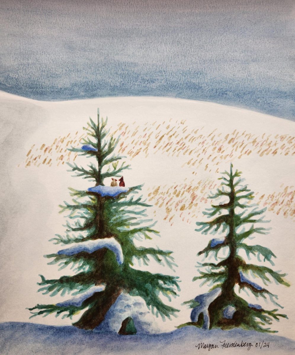Medium: Watercolor
Description: Cardinals in a pine tree in front of a snowy field.
Year: 2024