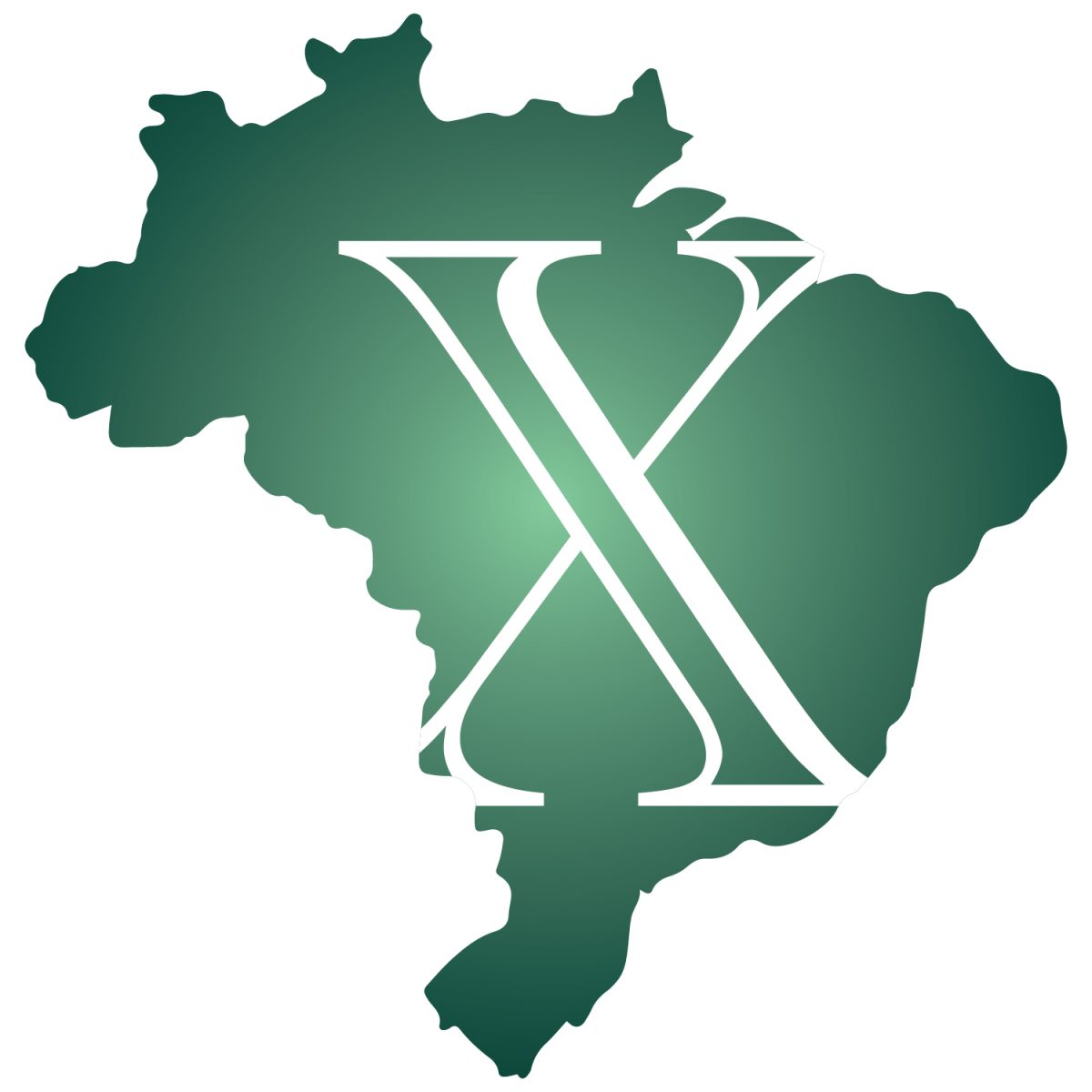 X Shuts Down in Brazil