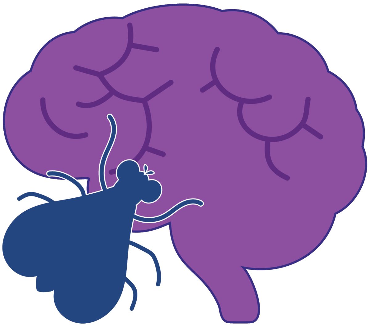 Scientists Complete Map of Fruit Fly Brain