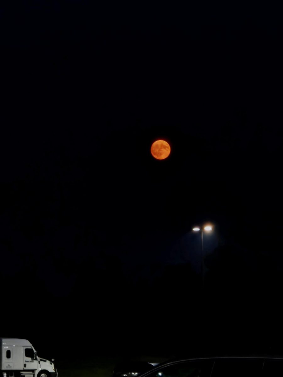 A Bloody Summer Moon