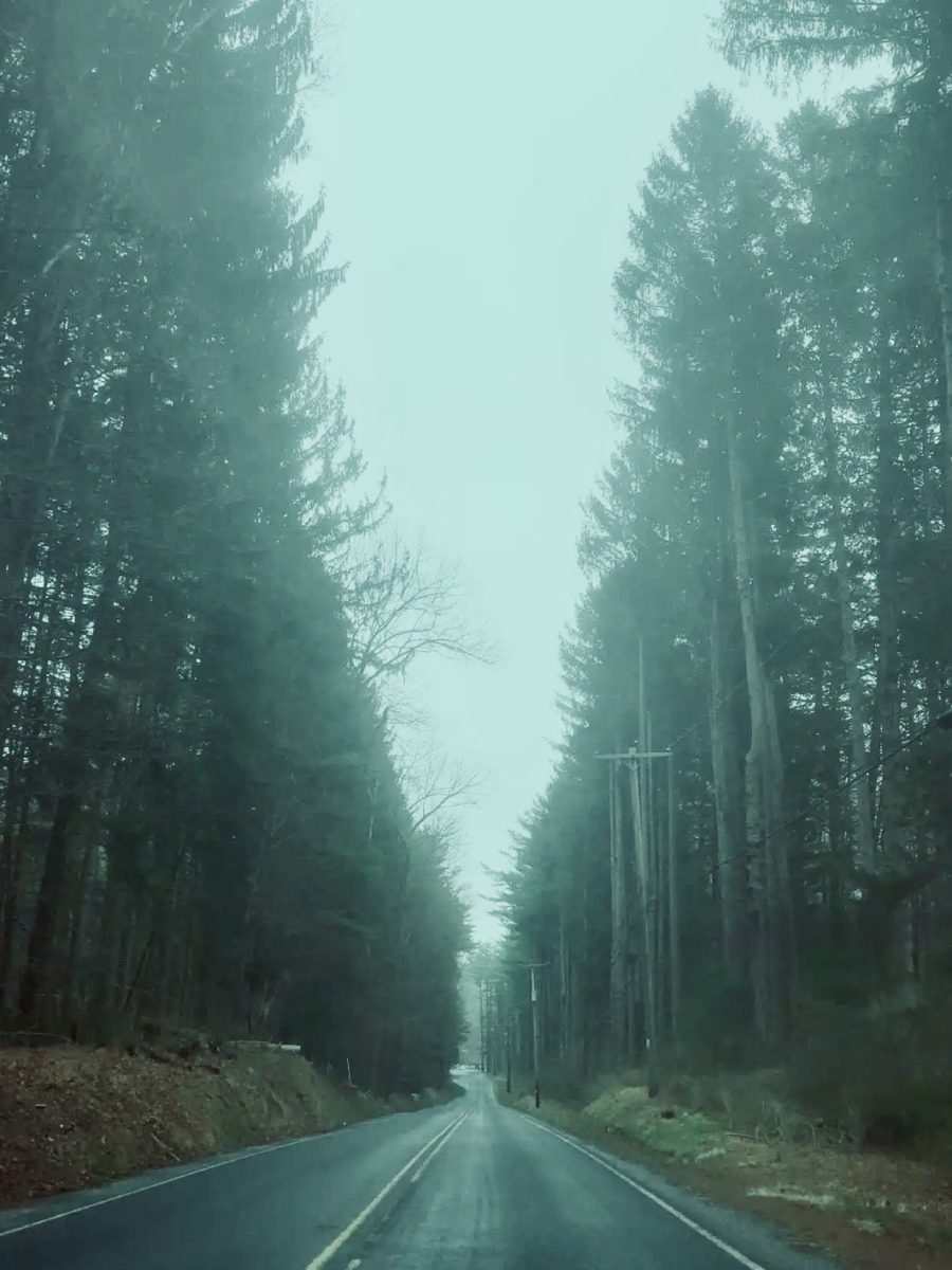 the road